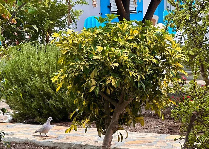 公寓式酒店 Effie's