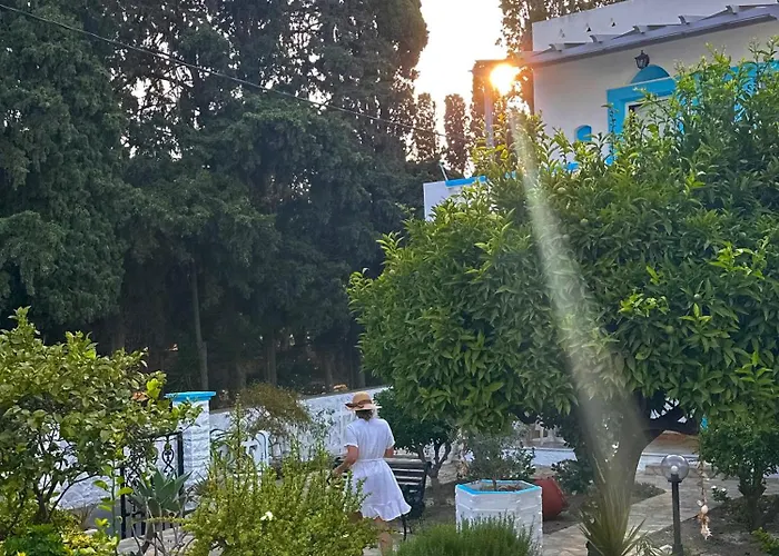 公寓式酒店 Effie's Alinda (Leros)